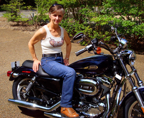 Motorcycle Picture of a 2009 Harley-Davidson Sportster 1200 Low