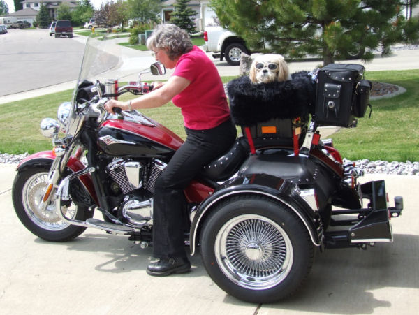 Motorcycle Picture of a 2008 Kawasaki 900 w/Voyager trike kit