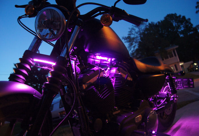 Motorcycle Picture of a 2010 Harley-Davidson Sportster Iron 883