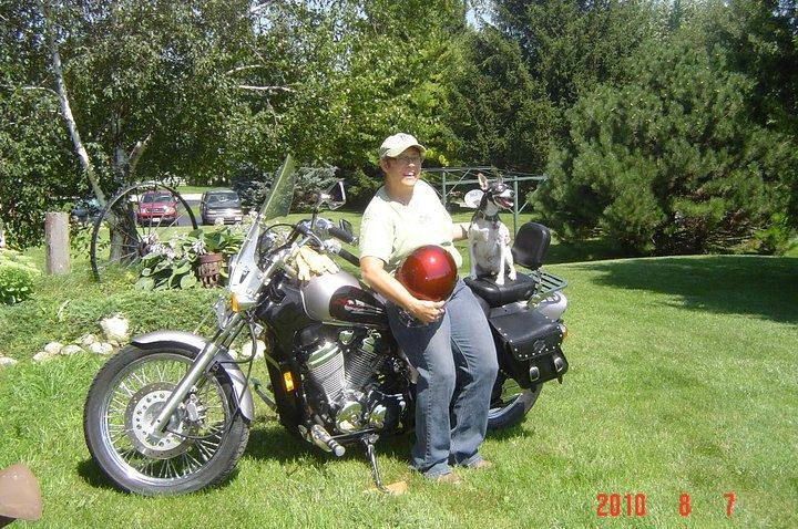 Motorcycle Picture of a 2000 Honda Shadow VLX Deluxe 2-Tone VT600 CD2