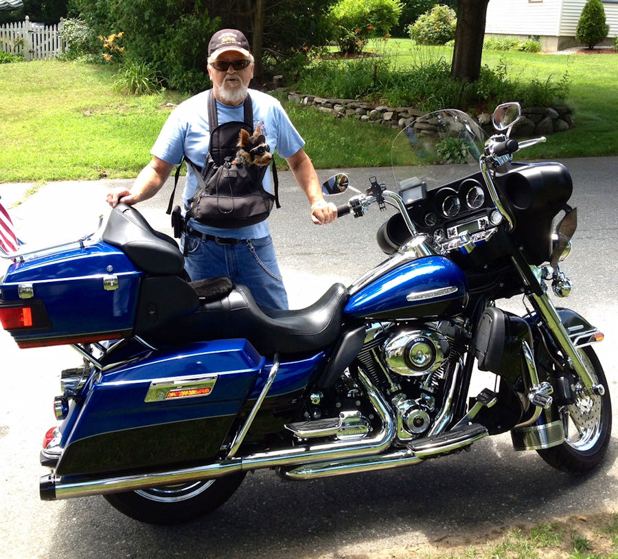 Motorcycle Picture of a 2010 Harley-Davidson Limited