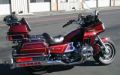 Gold Wing Photo