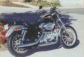 Sportster Picture