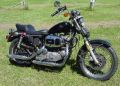 Sportster Picture