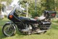 Gold Wing Photo