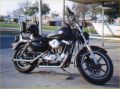 Sportster Picture