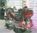Gold Wing Photo