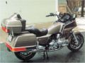 Gold Wing Photo