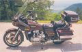 Gold Wing Photo