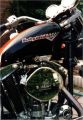 Sportster Picture