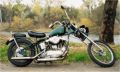 Sportster Picture