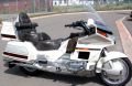 Gold Wing Photo