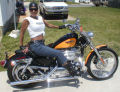 Sportster Picture