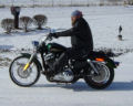 Male Rider Picture