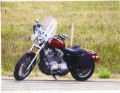 Sportster Picture