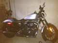 Sportster Picture