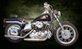 Motorcycle Picture